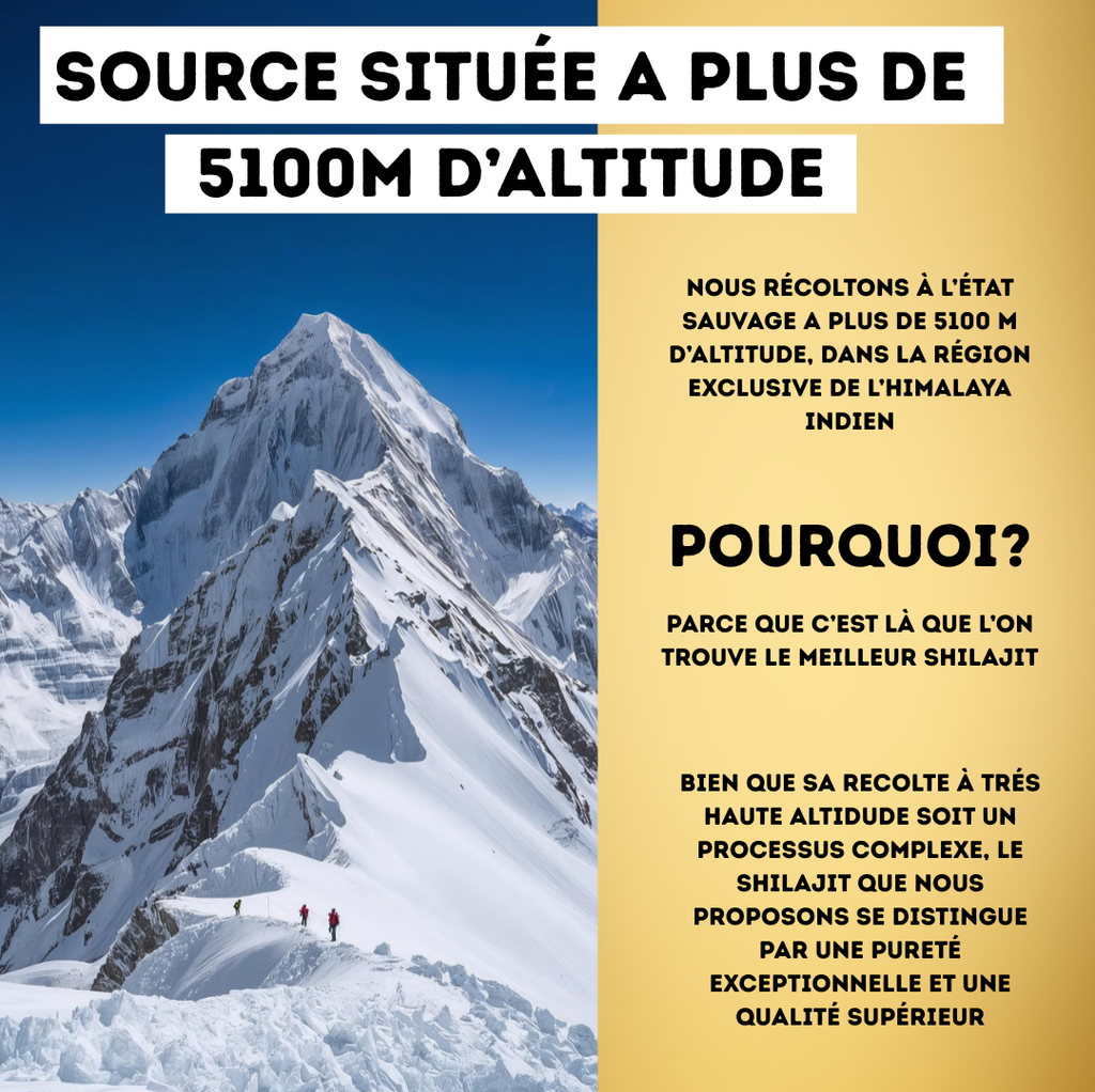 ✨ Résine de Shilajit de l'Himalaya (30g) : L'Élixir de Pure Énergie