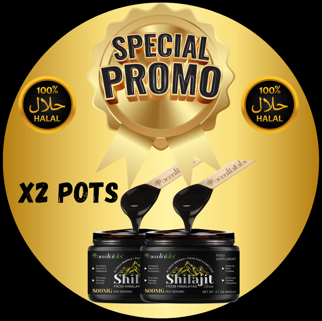 2 POTS DE SHILAJIT