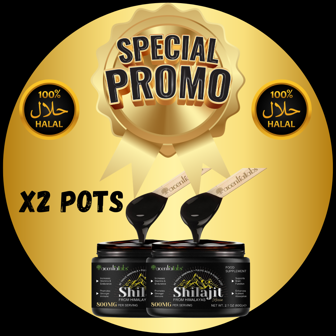 2 POTS DE SHILAJIT