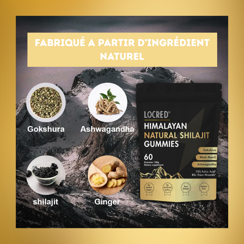 🚀 Gummies Énergie & Focus : Shilajit Ultra-Concentré et Ashwagandha KSM-66