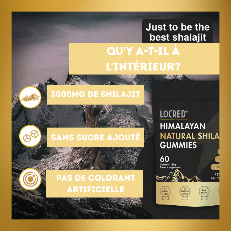🚀 Gummies Énergie & Focus : Shilajit Ultra-Concentré et Ashwagandha KSM-66